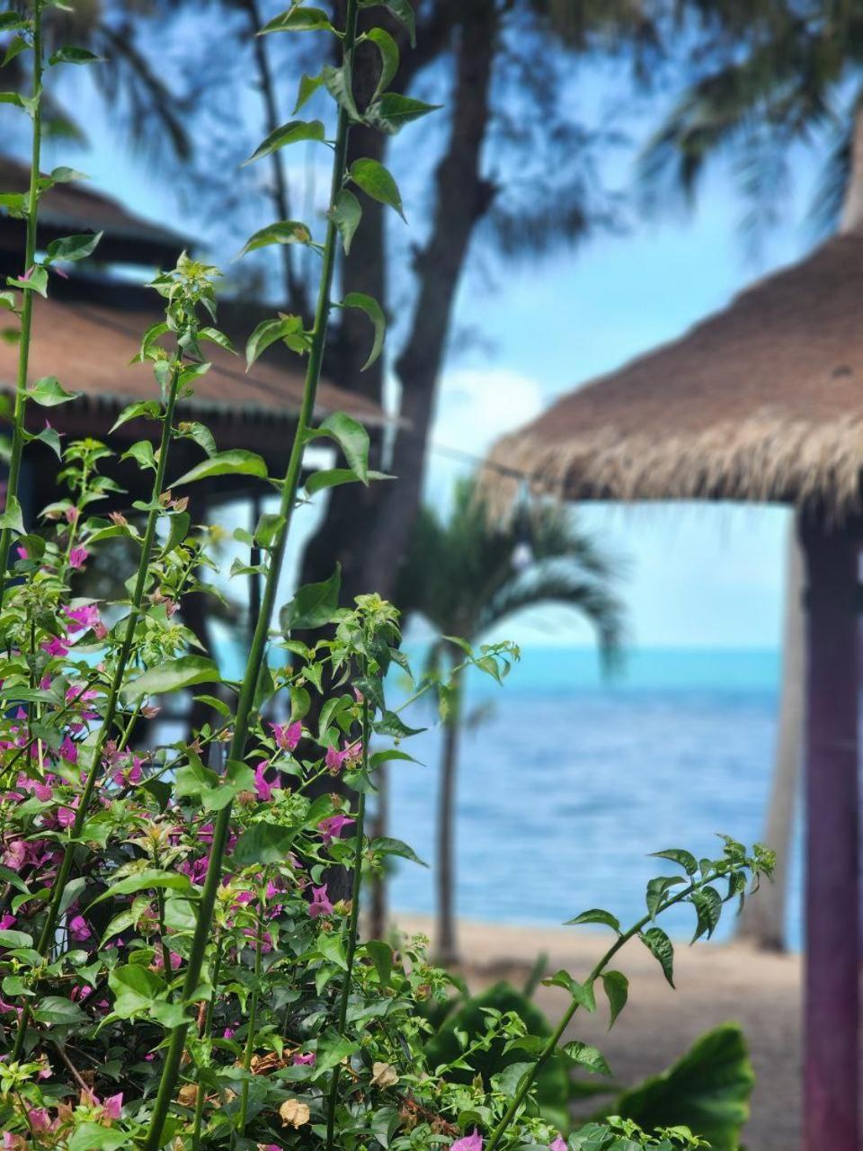 A Little Bungalows By Beach Amphoe Koksamui Dış mekan fotoğraf